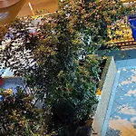 Cleopatra Hotel