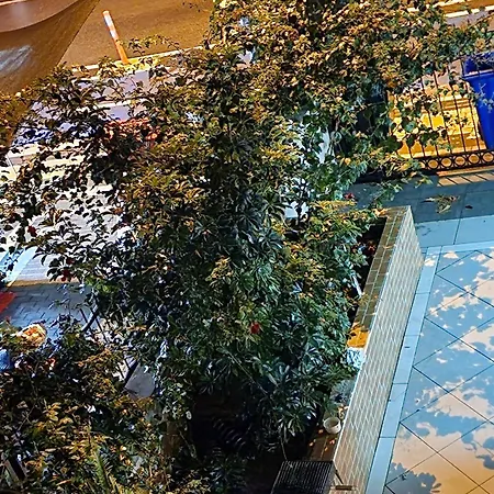 Cleopatra Hotel
